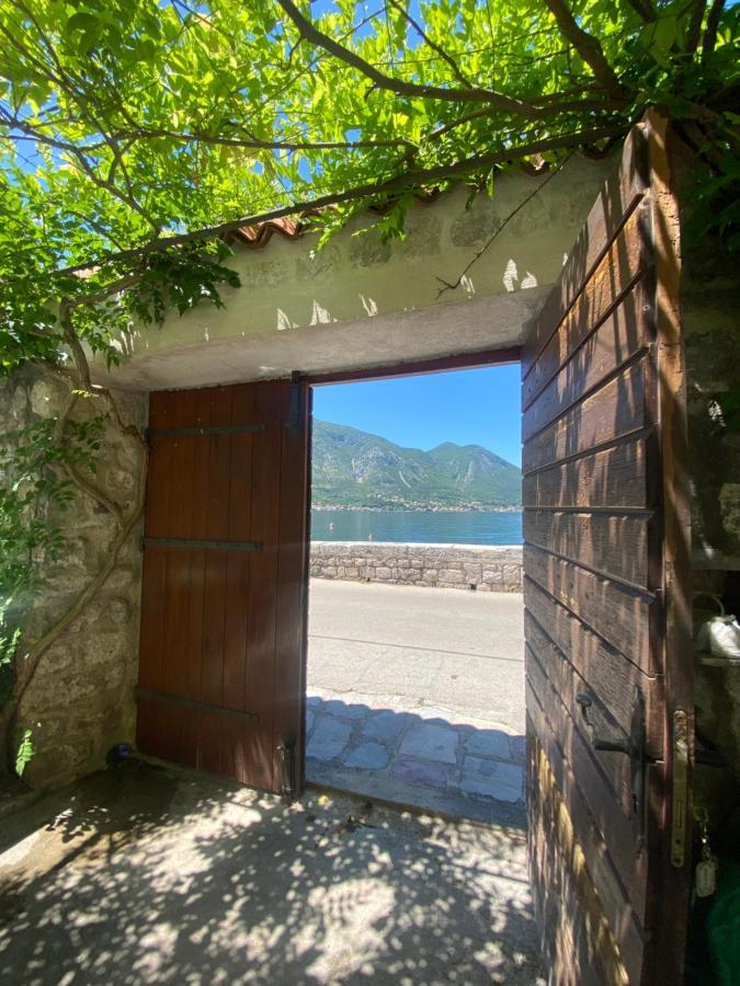 Mansarda Apartment Kotor Eksteriør bilde