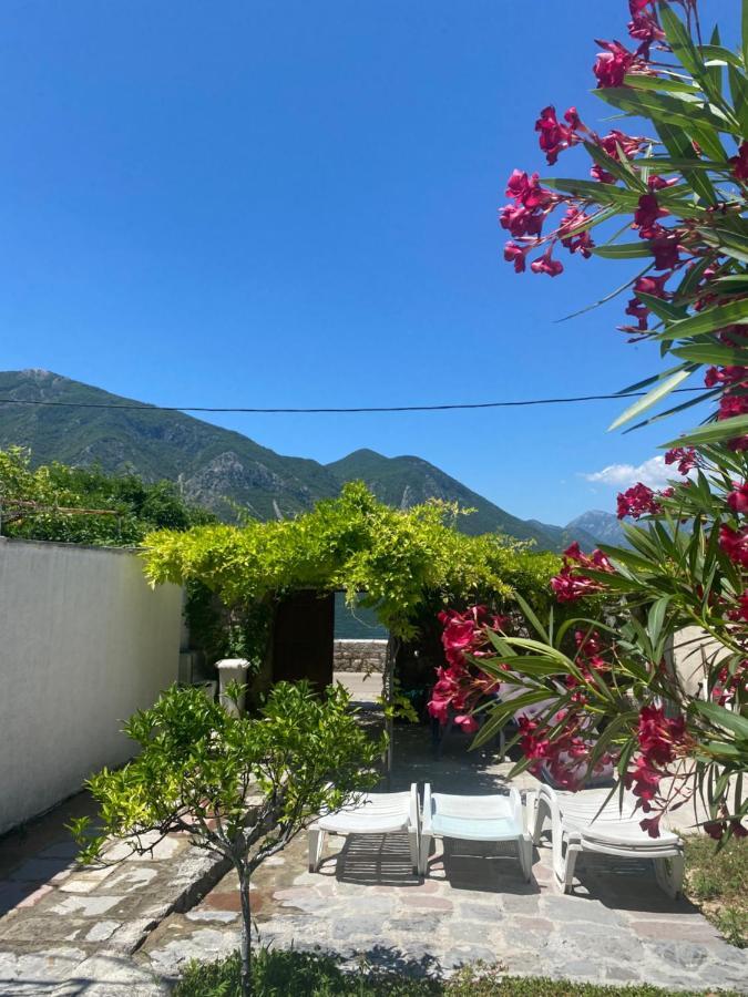 Mansarda Apartment Kotor Eksteriør bilde
